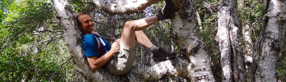 Eric in a tree